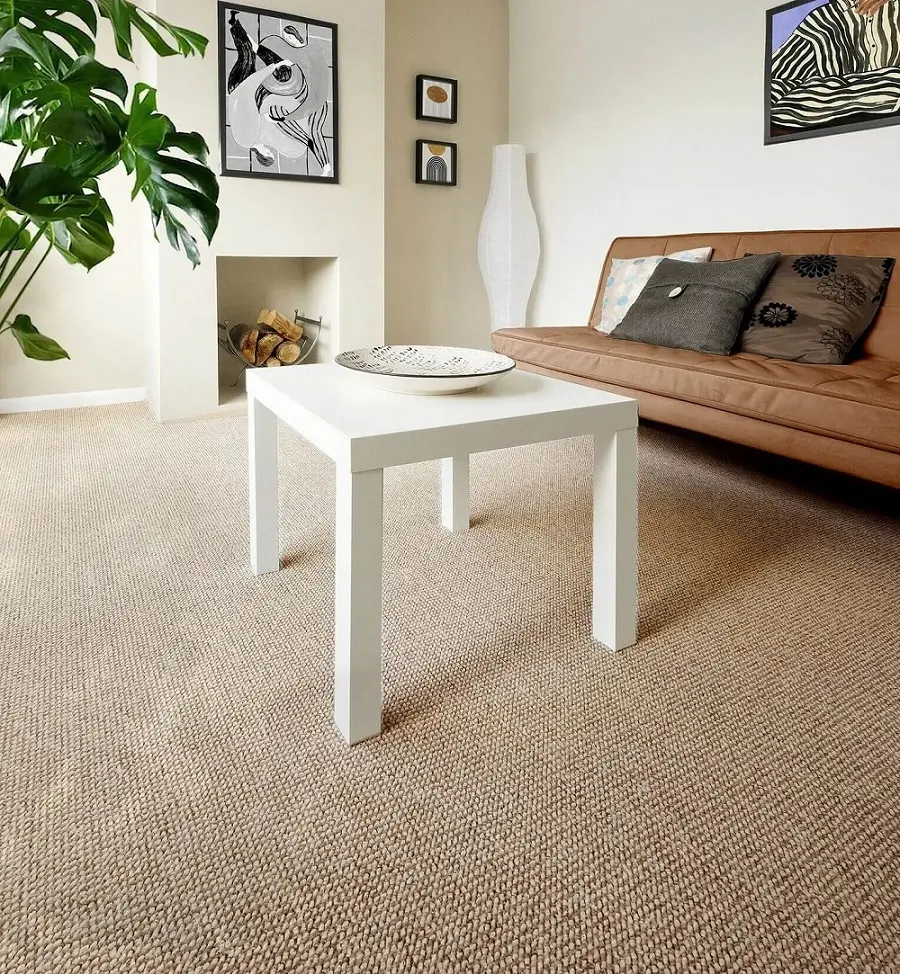 Beige Wall to Wall Carpet